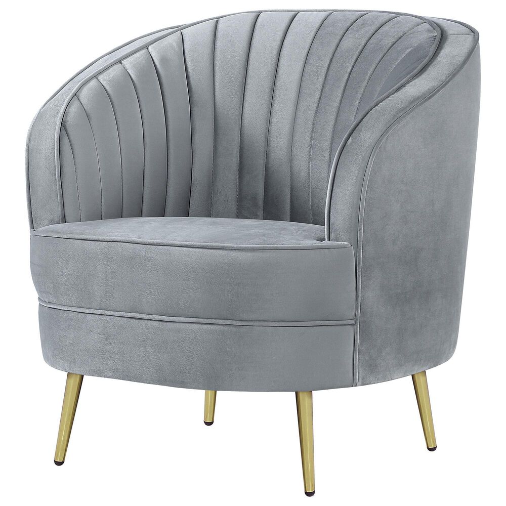 Coaster Sophia Arm Chair in Grey, , large