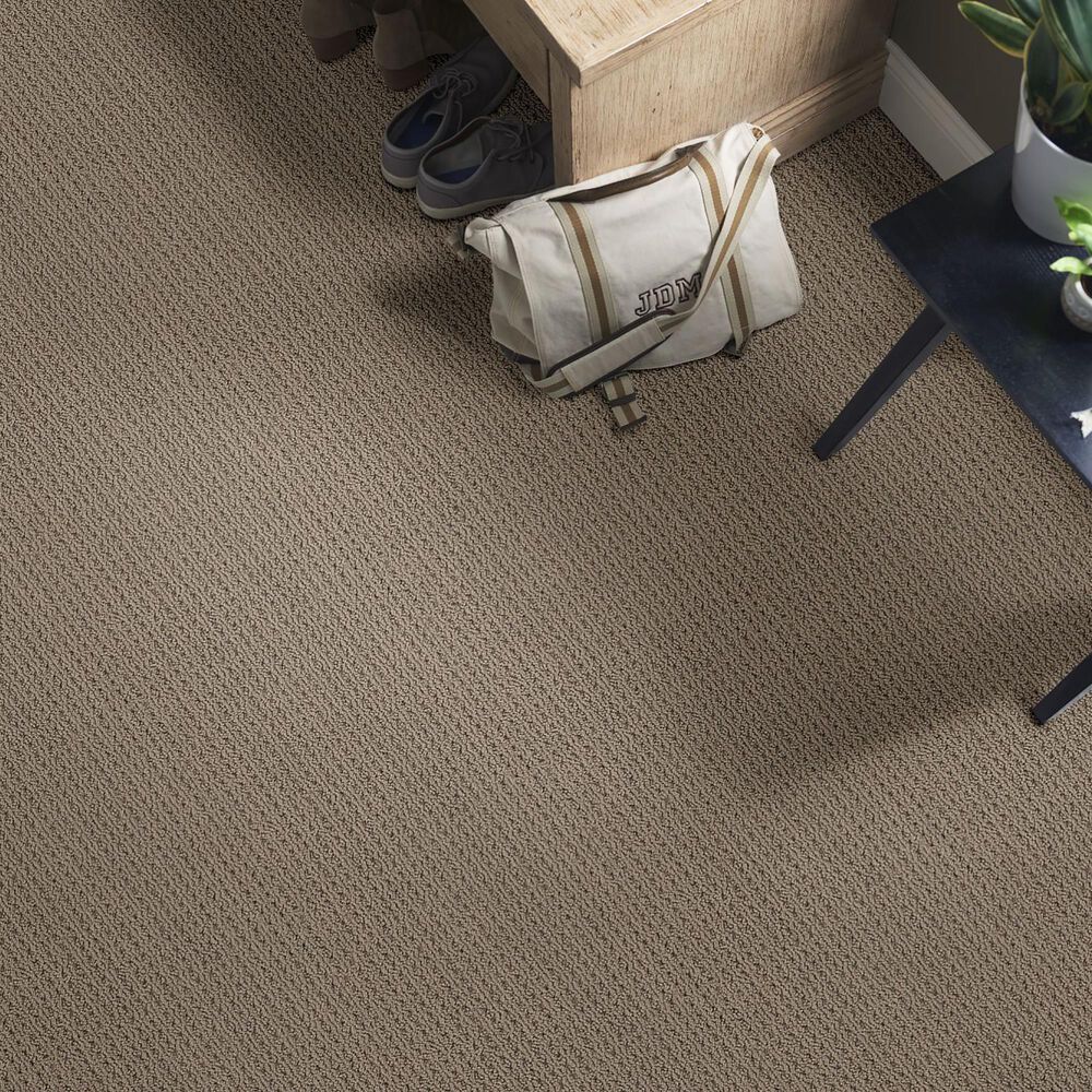 Anderson Tuftex Cabo Cove Carpet in Homestead, , large