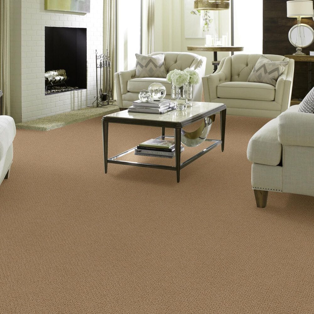 Shaw Detailed Statement Loop Carpet in Honey Pot, , large