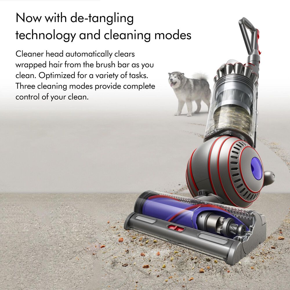 Dyson Ball Animal Upright Vacuum in Copper/Silver