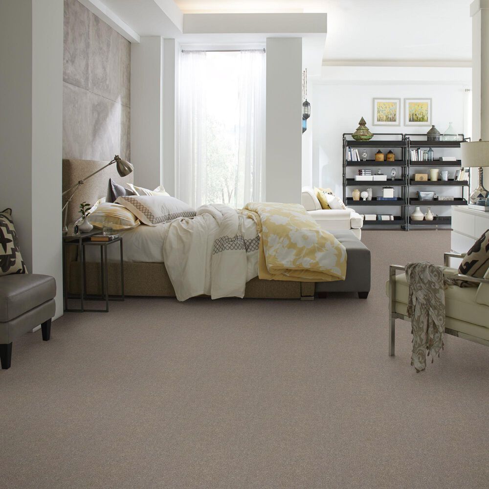 Shaw Simply the Best Attainable Carpet in Smooth Taupe, , large