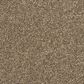 Mohawk Furry Friends II Carpet in Cracked Wheat, , large