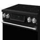 Thor Kitchen Gordon Ramsay 30" Induction Range Color Kit in Stainless, , large