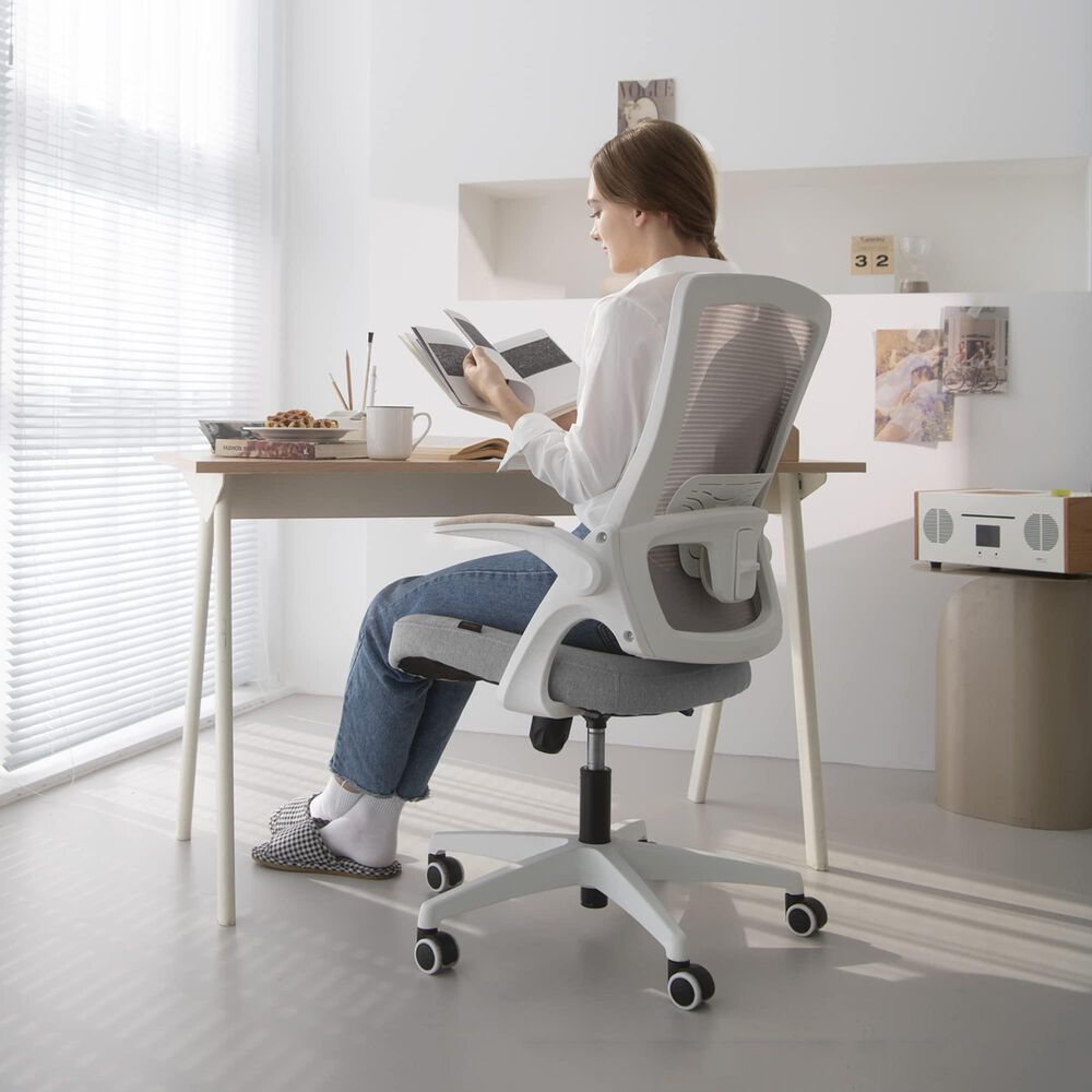 HOMLUX Swivel Ergonomic Office Chair with Headrest Lumbar Support in Gray, , large