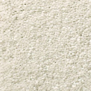 Philadelphia Well Grounded II 12" Carpet in Minimalist, , large