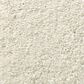 Shaw Well Grounded II 12" Carpet in Minimalist, , large
