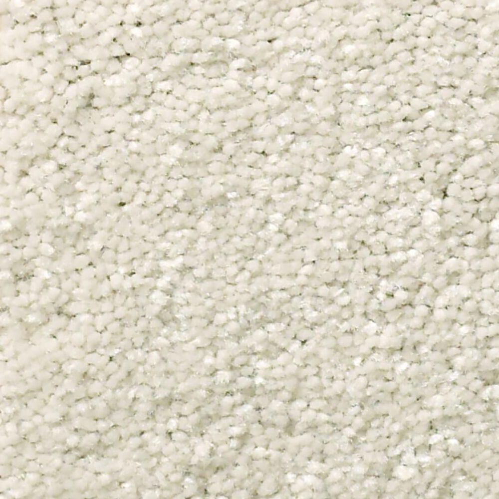Shaw Well Grounded II 12" Carpet in Minimalist, , large