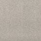 Mohawk Luxuriant Life Carpet in Seagull, , large