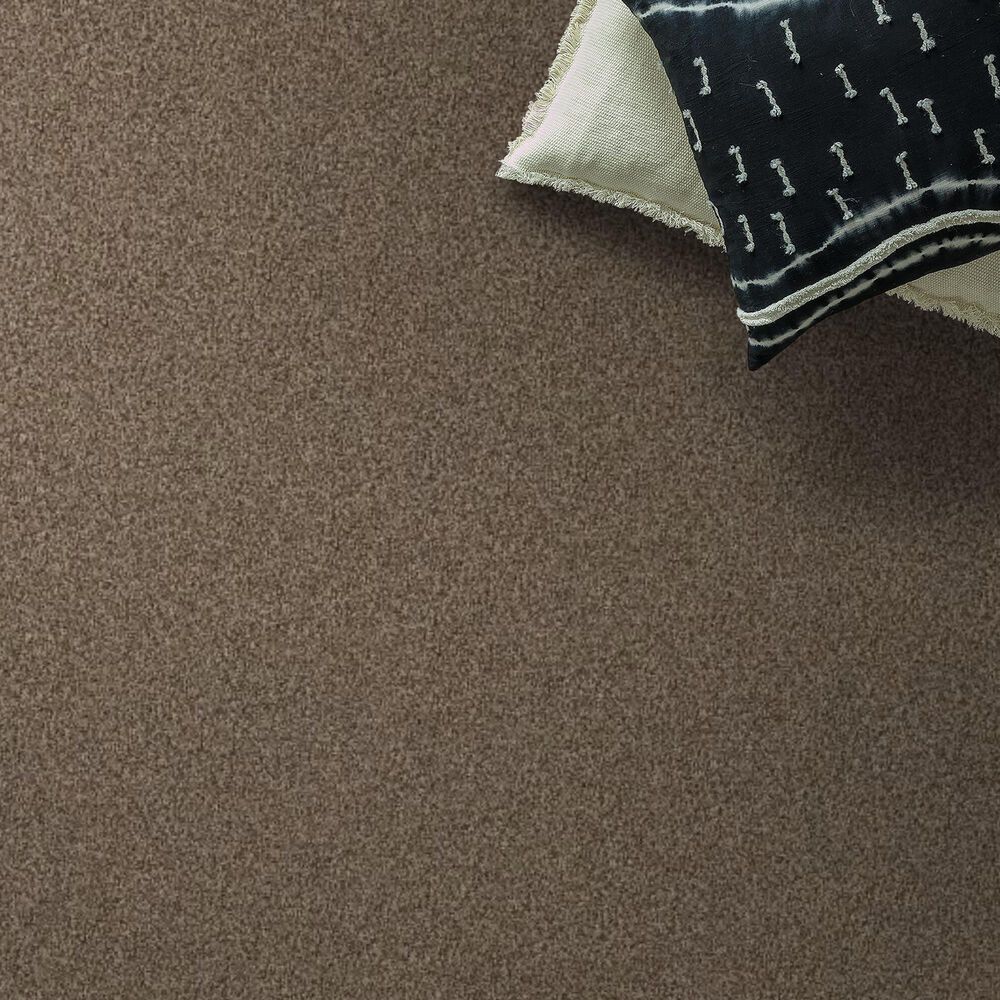 Anderson Tuftex Terra Nova Carpet in Joshua Tree, , large