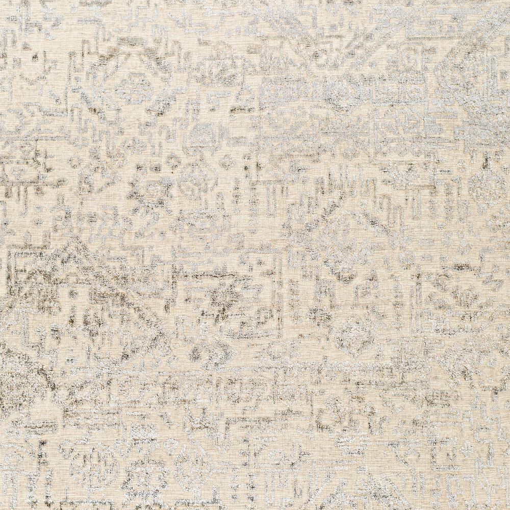 Surya Amina 2&#39; x 3&#39; Beige and Ivory Area Rug, , large