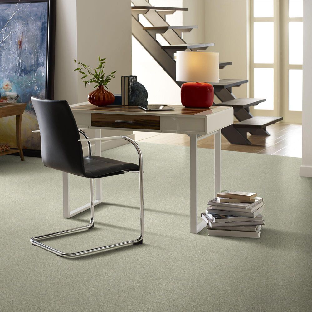Shaw Find Your Comfort NS II Carpet in Willow Tree, , large