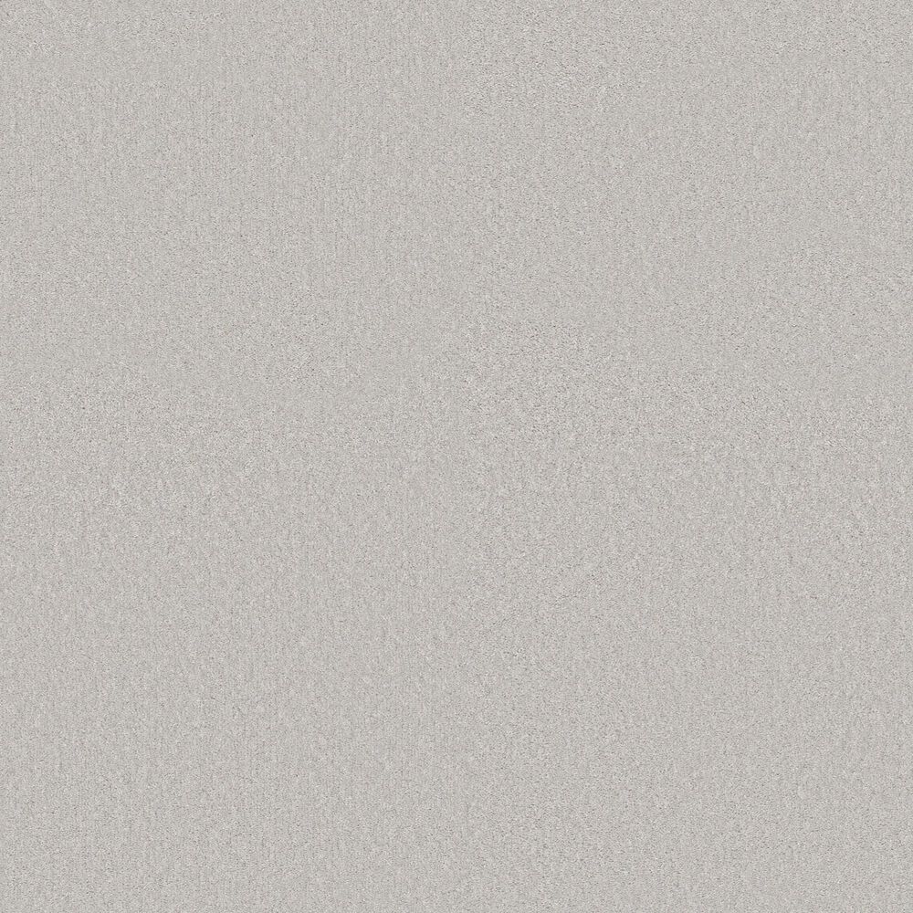 Shaw Way To Go II Carpet in Pixel, , large