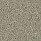 Philadelphia Champagne Taste I Carpet in Organic Grown, , large