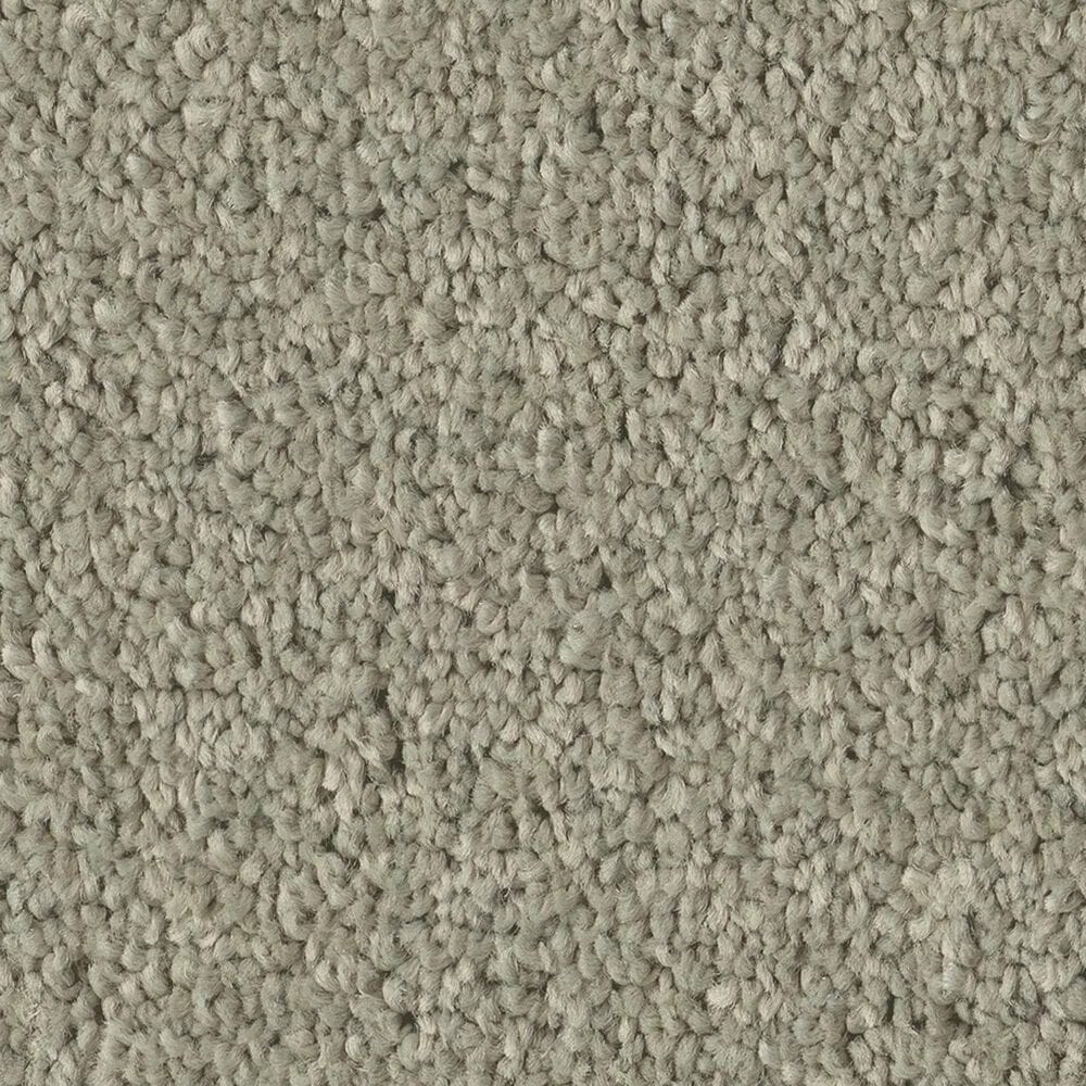 Philadelphia Champagne Taste I Carpet in Organic Grown, , large