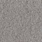 Anderson Tuftex Luxe Feel I Carpet in Classic Gray, , large