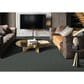 Fabrica Tribute Carpet in Delmar, , large