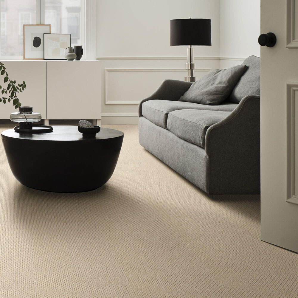 Anderson Tuftex Mera Carpet in Beach Haven, , large