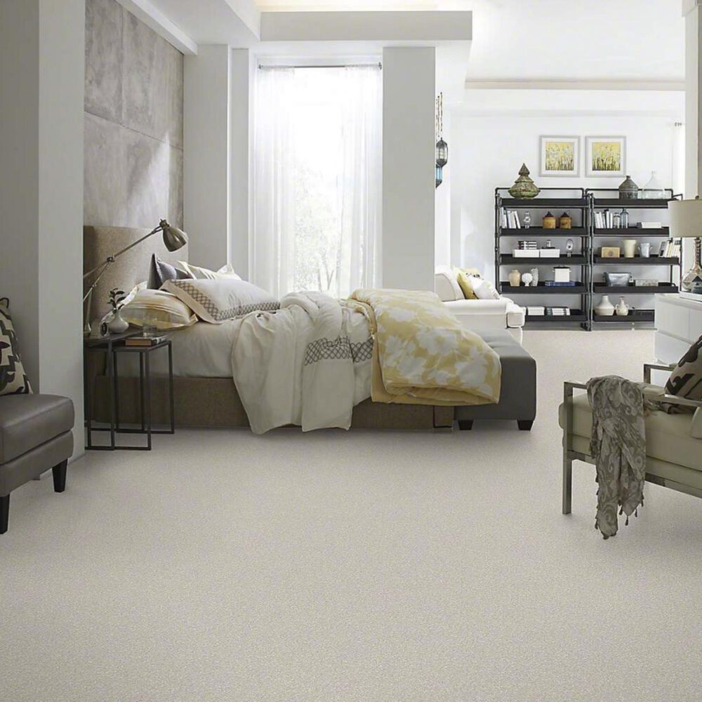 Anderson Tuftex Barracan Classic I Carpet in Bismuth, , large