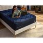 DreamCloud Ultra Hybrid 4.0 Plush Queen Mattress, , large