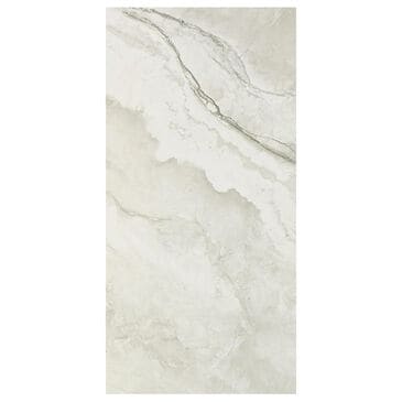 Dal-Tile Famed Iconic 12" x 24" Porcelain Tile, , large