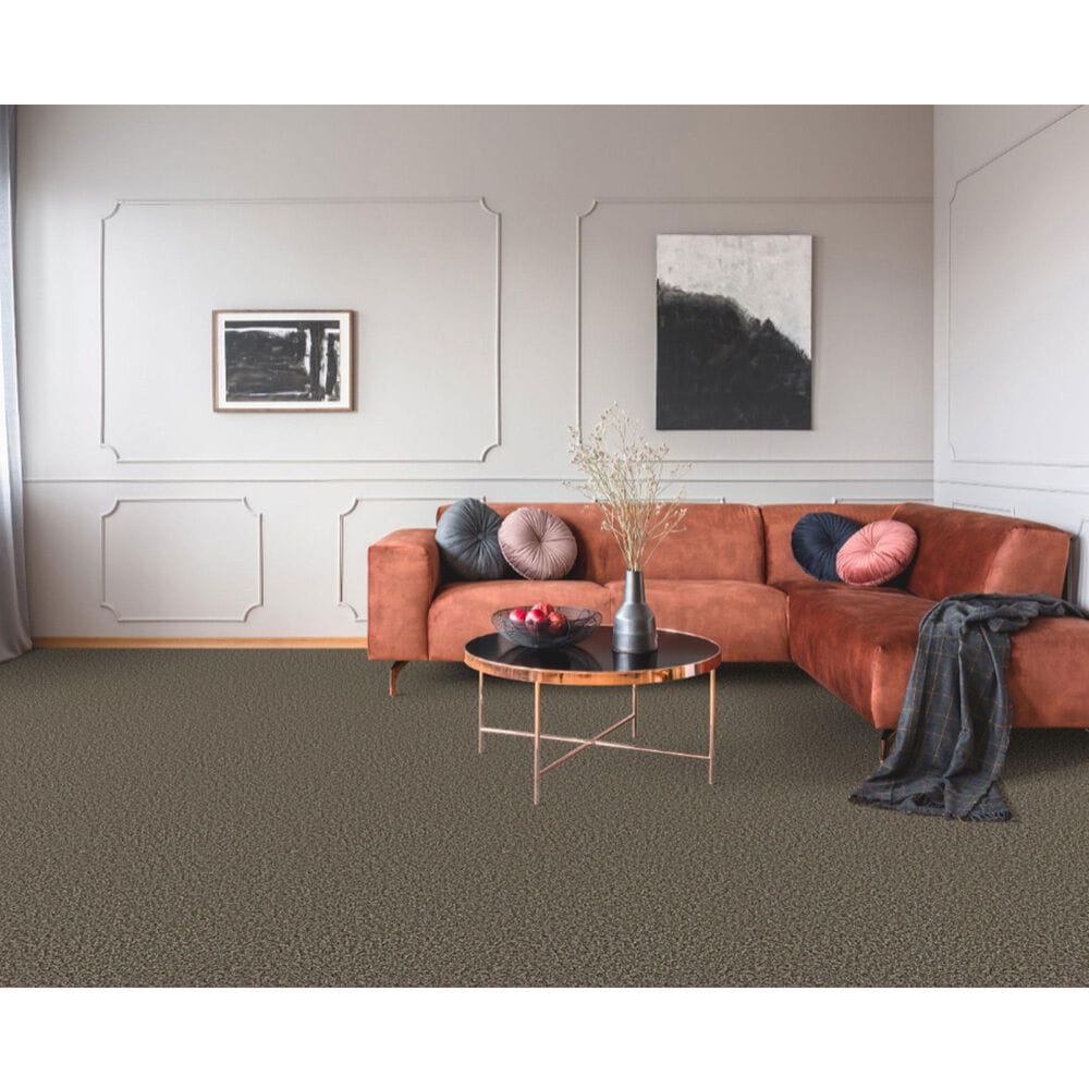 Dixie Home Main Force Carpet in Boulder, , large
