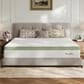 Novilla Grove 12" Medium Hybrid King Mattress in a Box, , large