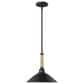Golden Lighting Journey 1-Light Pendant in Natural Black, , large