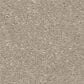 Shaw Easy Spirit II 12" Carpet in Greige, , large