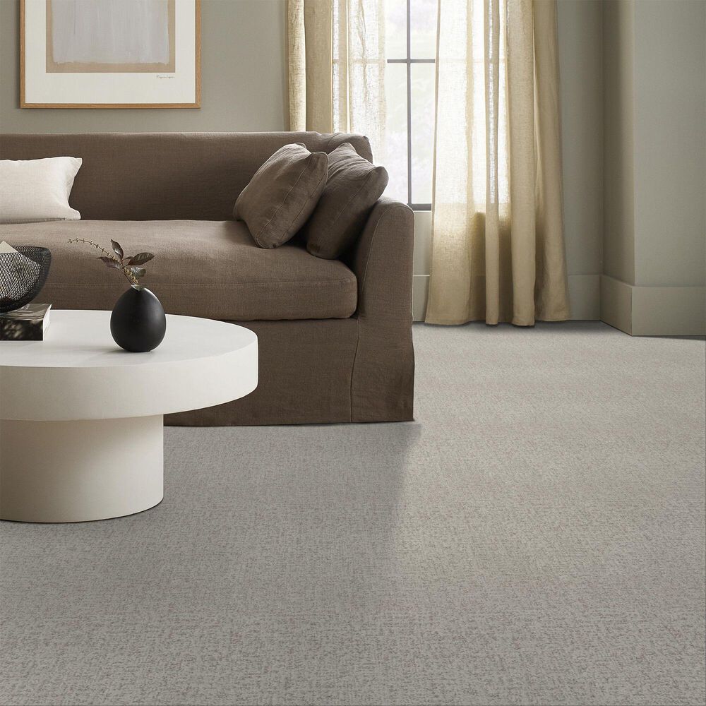 Shaw Home Within Carpet in Frozen, , large
