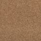 Mohawk Revive Carpet in Fowler, , large