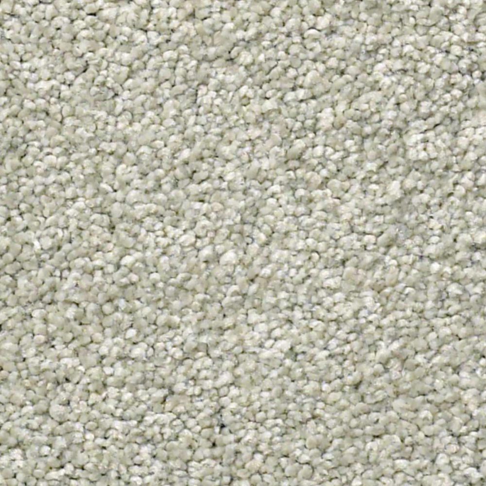 Shaw Find Your Comfort NS I Carpet in Willow Tree, , large