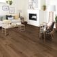 Robbins Natures Canvas Platinum Sunny Shade Oak Hardwood, , large