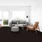 Dixie Home Galliard Carpet in Plantation, , large