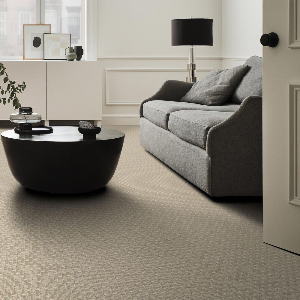 Anderson Tuftex Havencrest Carpet in Basalt, , large