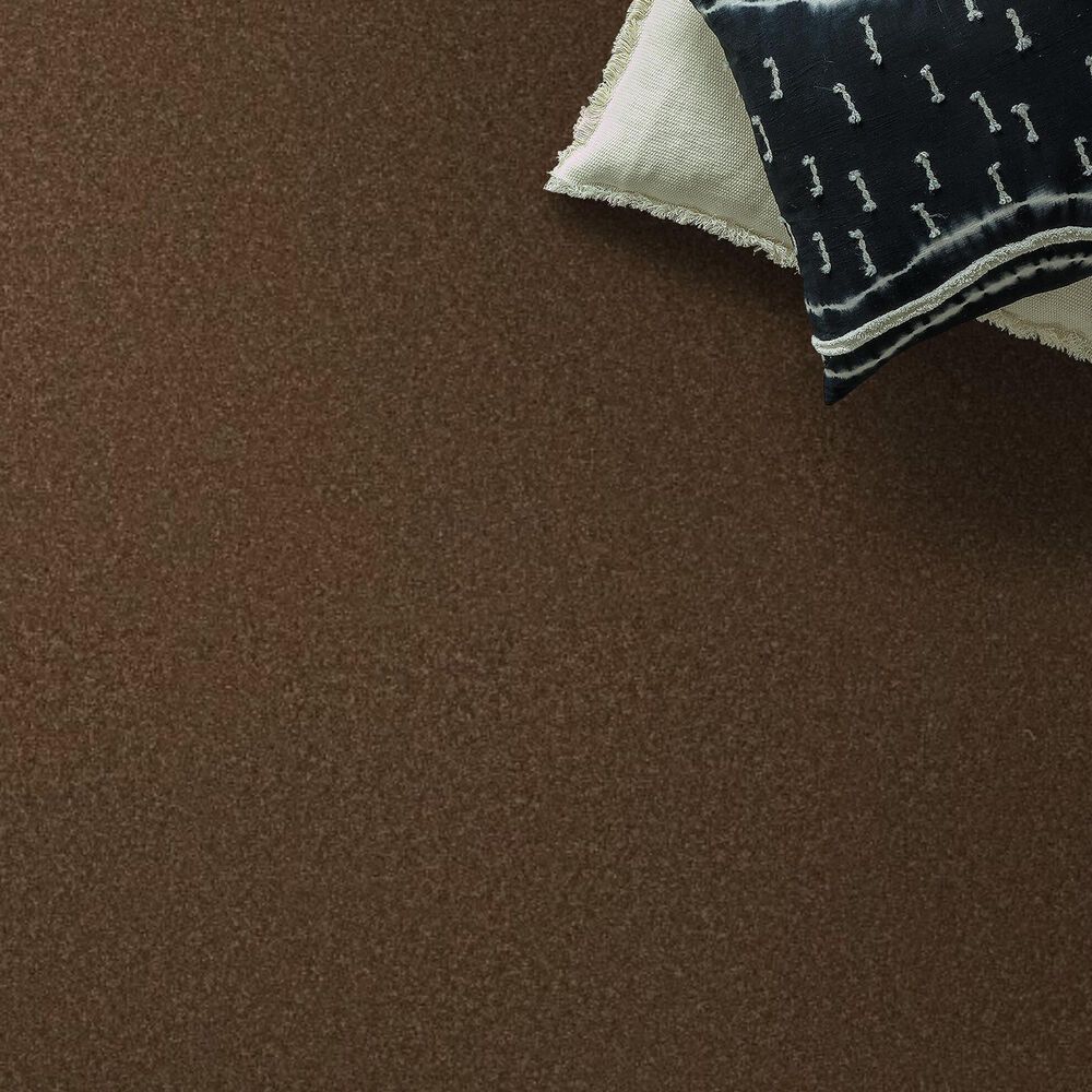 Anderson Tuftex Enchanting Carpet in Bronco, , large
