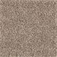 Mohawk Nature"s Elegance Carpet in Carpet in Weathered Grey, , large
