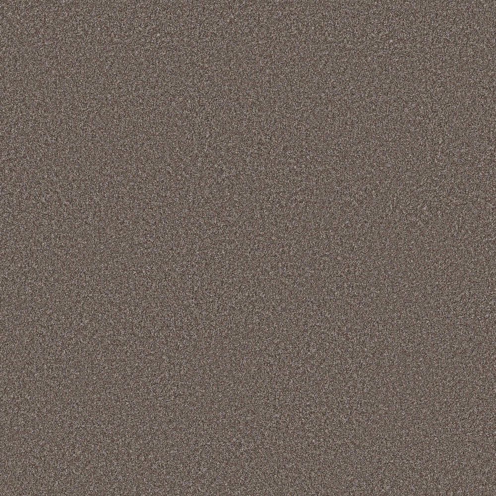 Shaw Imaginable I Carpet in French Roast, , large
