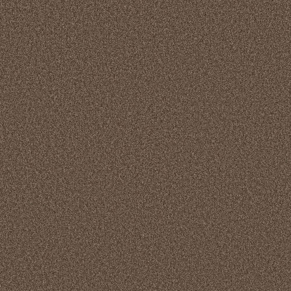 Shaw Tonal Comfort I Carpet in Cliff Hiking, , large