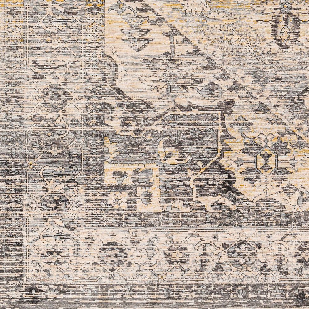 Surya Chicago CHG2316 11&#39;11&quot; x 15&#39;7&quot; Light Beige, Charcoal, Slate, Black, Blue,Taupe Area Rug, , large