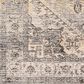 Surya Chicago CHG2316 11"11" x 15"7" Light Beige, Charcoal, Slate, Black, Blue,Taupe Area Rug, , large