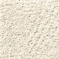 Anderson Tuftex Ario Carpet in Haven, , large