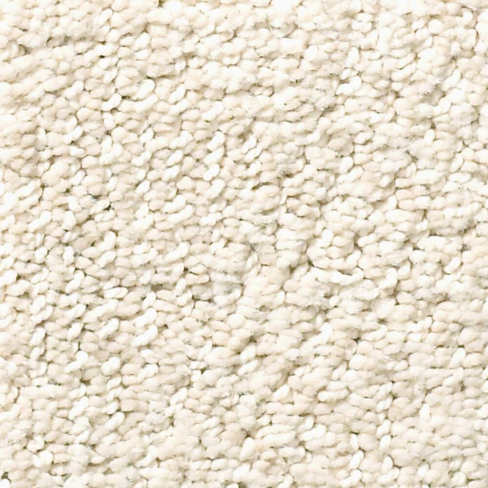 Anderson Tuftex Ario Carpet in Haven, , large