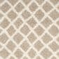 Safavieh Dallas Shag SGD258D-3 3" x 5" Beige/Ivory Area Rug, , large