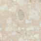 Dal-Tile Outlander Lumen 24" x 48" Grande Matte Porcelain Tile, , large