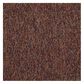 Shaw Sound Advice 24" x 24" Carpet Tile in Counsel, , large