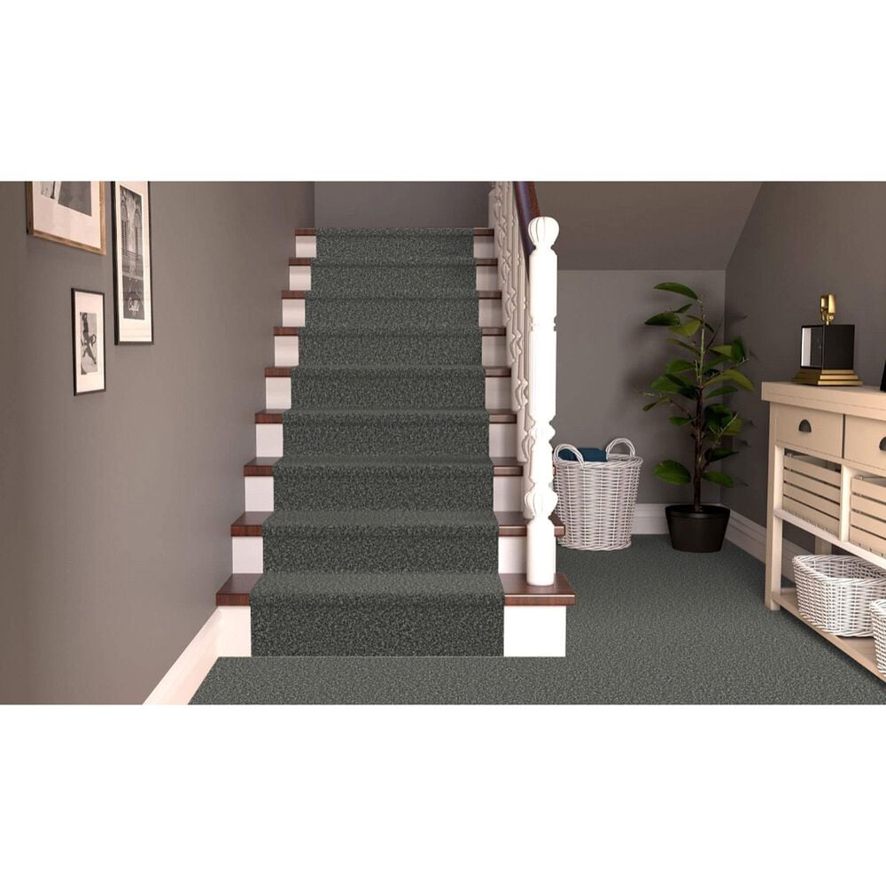 Dixie Home Main Force Carpet in Onyx, , large