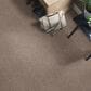 Shaw Simply the Best Cabana Life Carpet in Brown Reed, , large