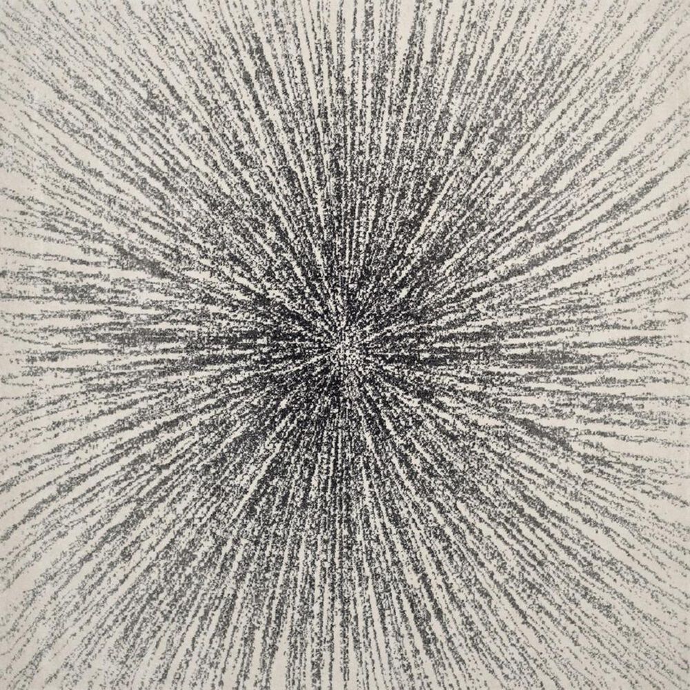 Safavieh Evoke EVK228K 10&#39; x 14&#39; Black and Ivory Area Rug, , large