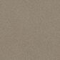 Shaw Pet Perfect Bold Move Carpet in Camel, , large