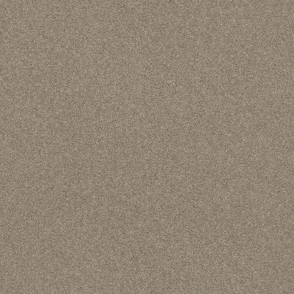Shaw Pet Perfect Bold Move Carpet in Camel, , large